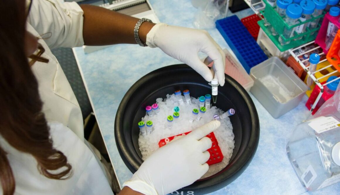 Revolution in solar energy: Perovskite turns everyday objects into solar panels