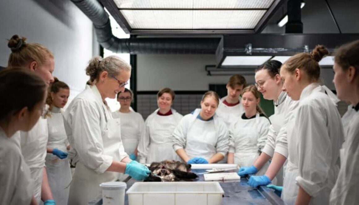 Dutch universities rally against budget cuts as international talent shines