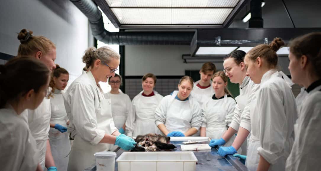 Dutch universities rally against budget cuts as international talent shines
