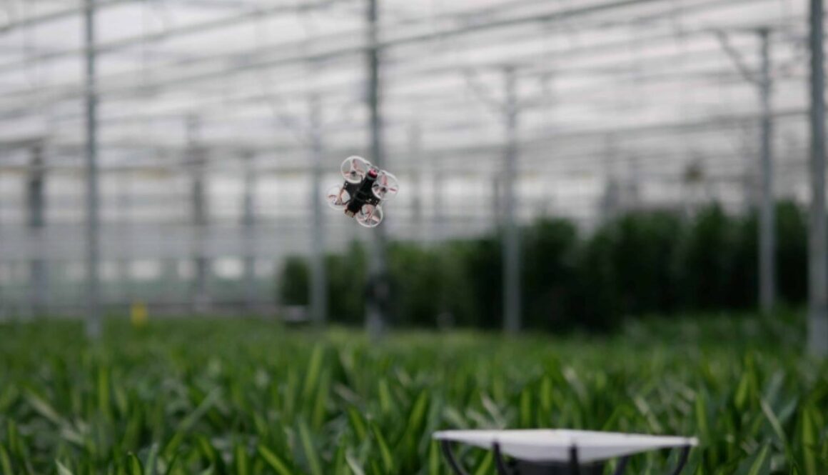 Smart sensors in the food industry: the key to efficiency