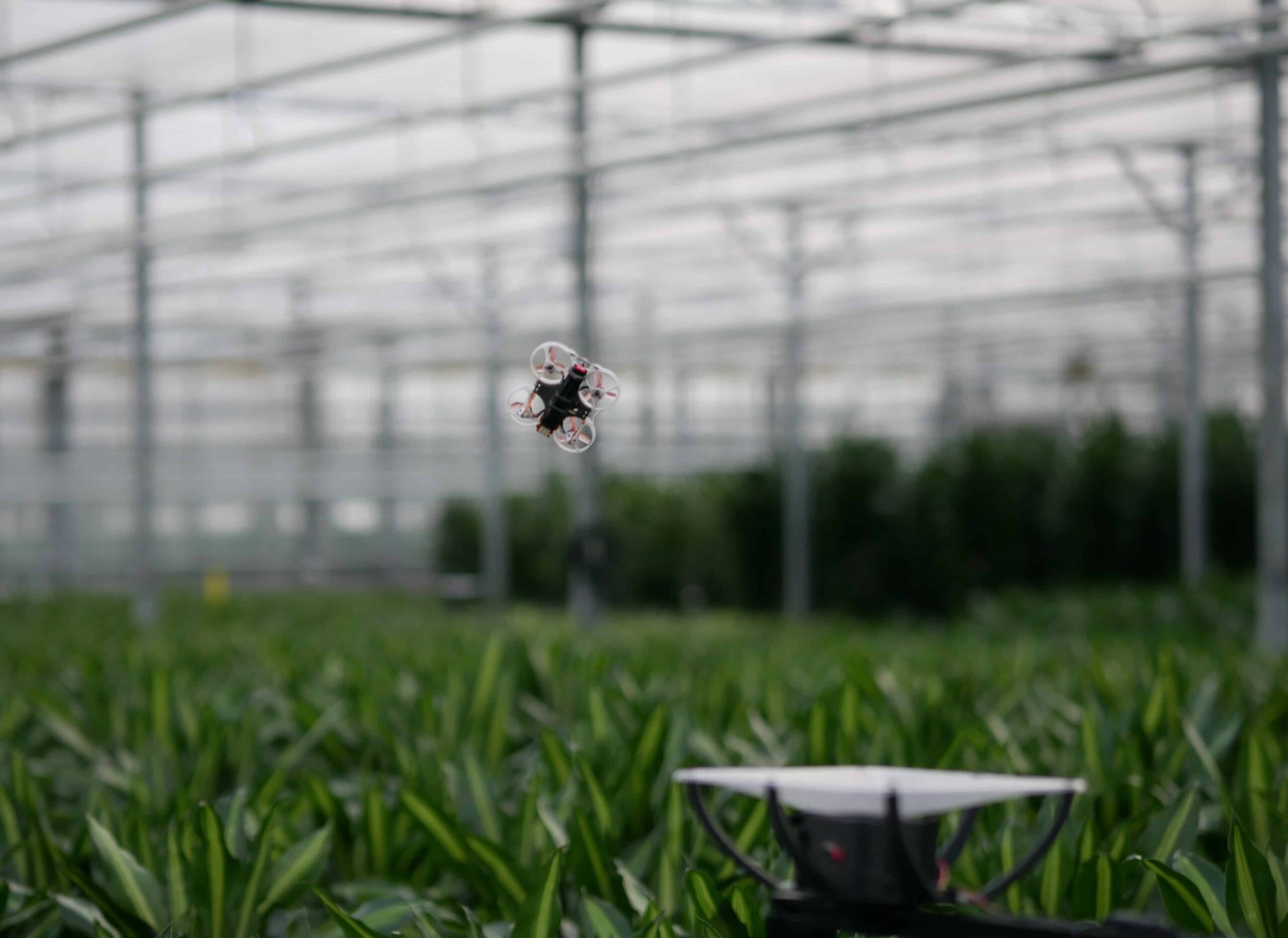Smart sensors in the food industry: the key to efficiency