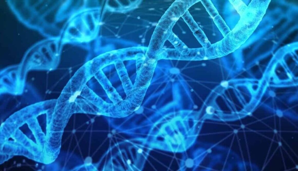 Dutch government grants subsidy for cancer-fighting isotopes