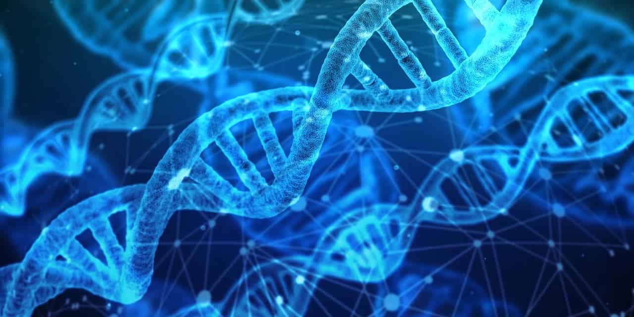Dutch government grants subsidy for cancer-fighting isotopes