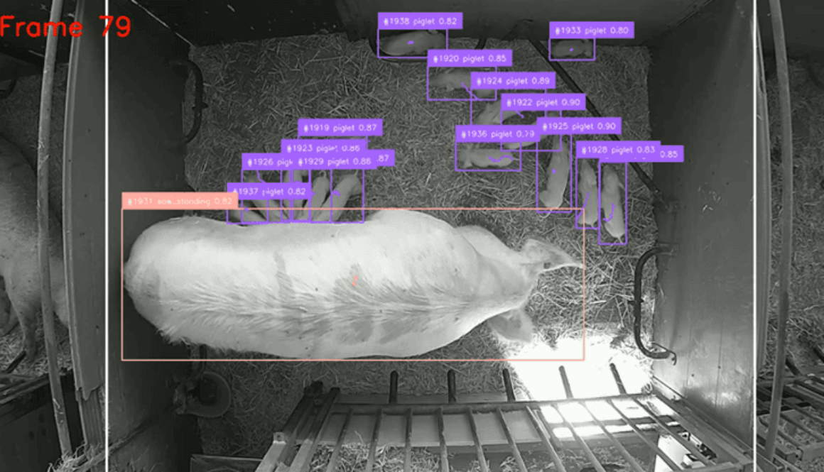 AI revolution in the greenhouse and livestock farming: smart technology is transforming horticulture